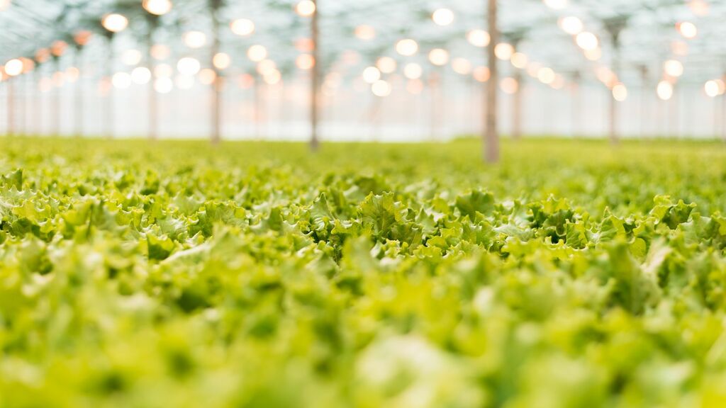 Titelfoto zum Blogbeitrag